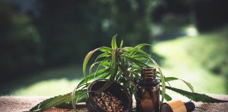 olejek cbd